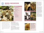 Foraging-Spread, Image, (PRHC, Design, Do, Not, Use)-6
