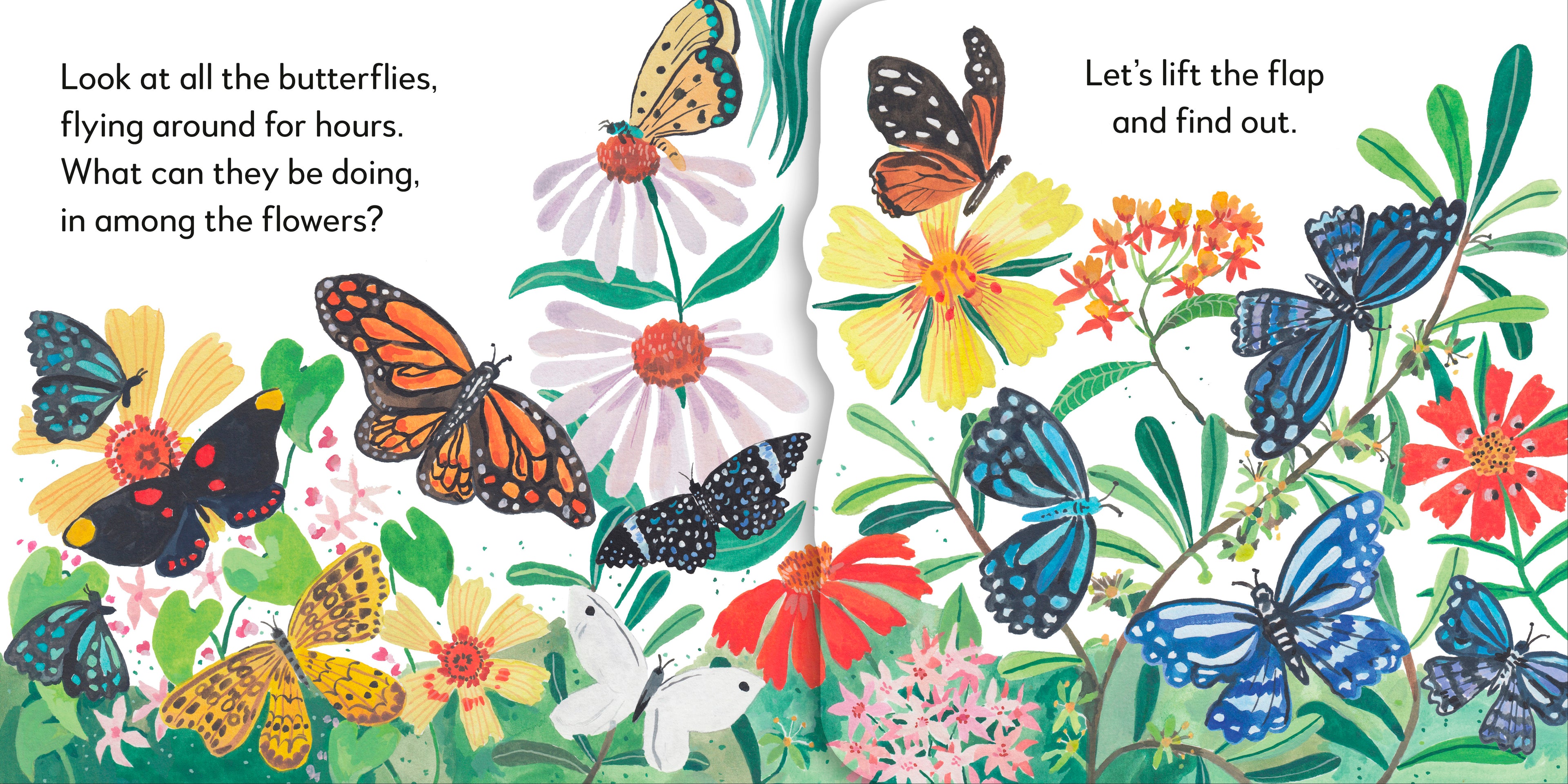 Pop-Up Peekaboo! Butterfly-Spread, Image, (PRHC, Design, Do, Not, Use)-1