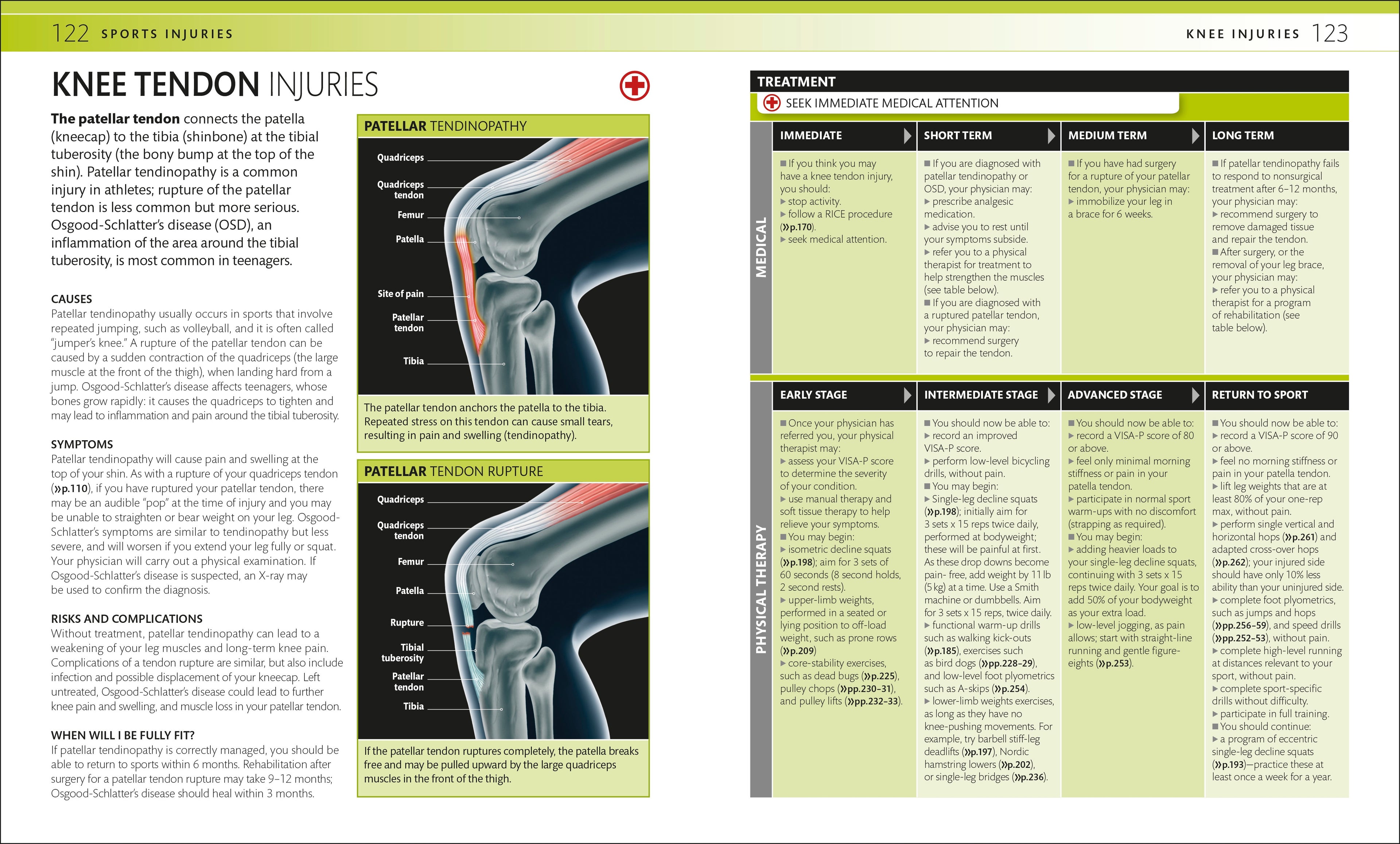 Everyday Sports Injuries