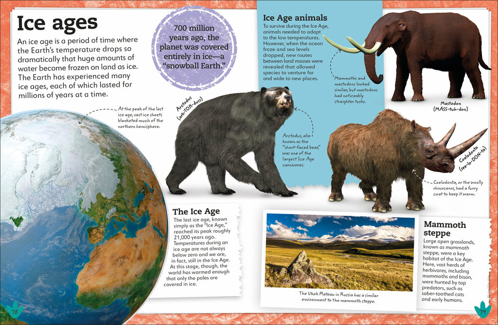 My Book of Dinosaurs and Prehistoric Life