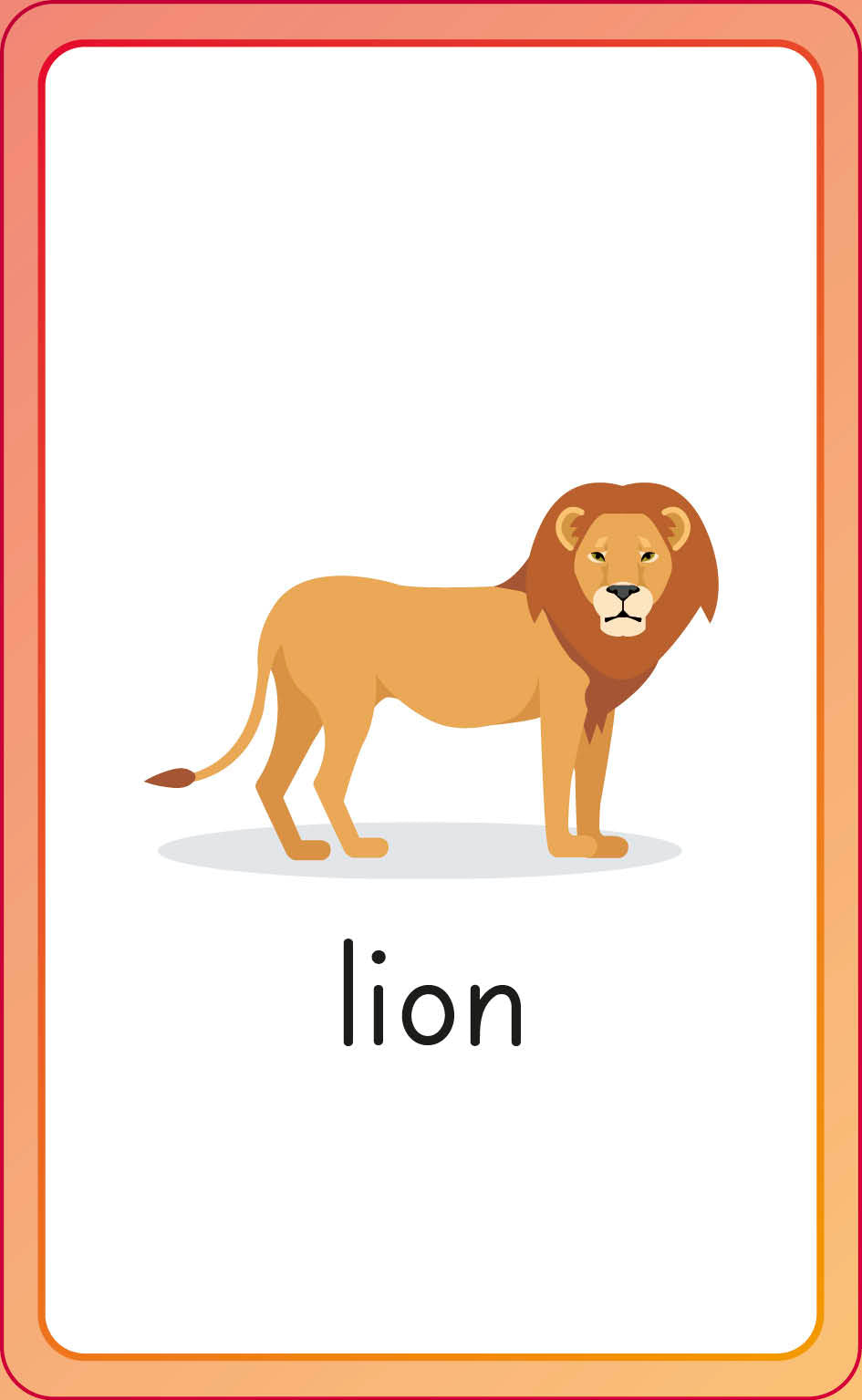 English for Everyone Junior First Words Animals Flash Cards-image