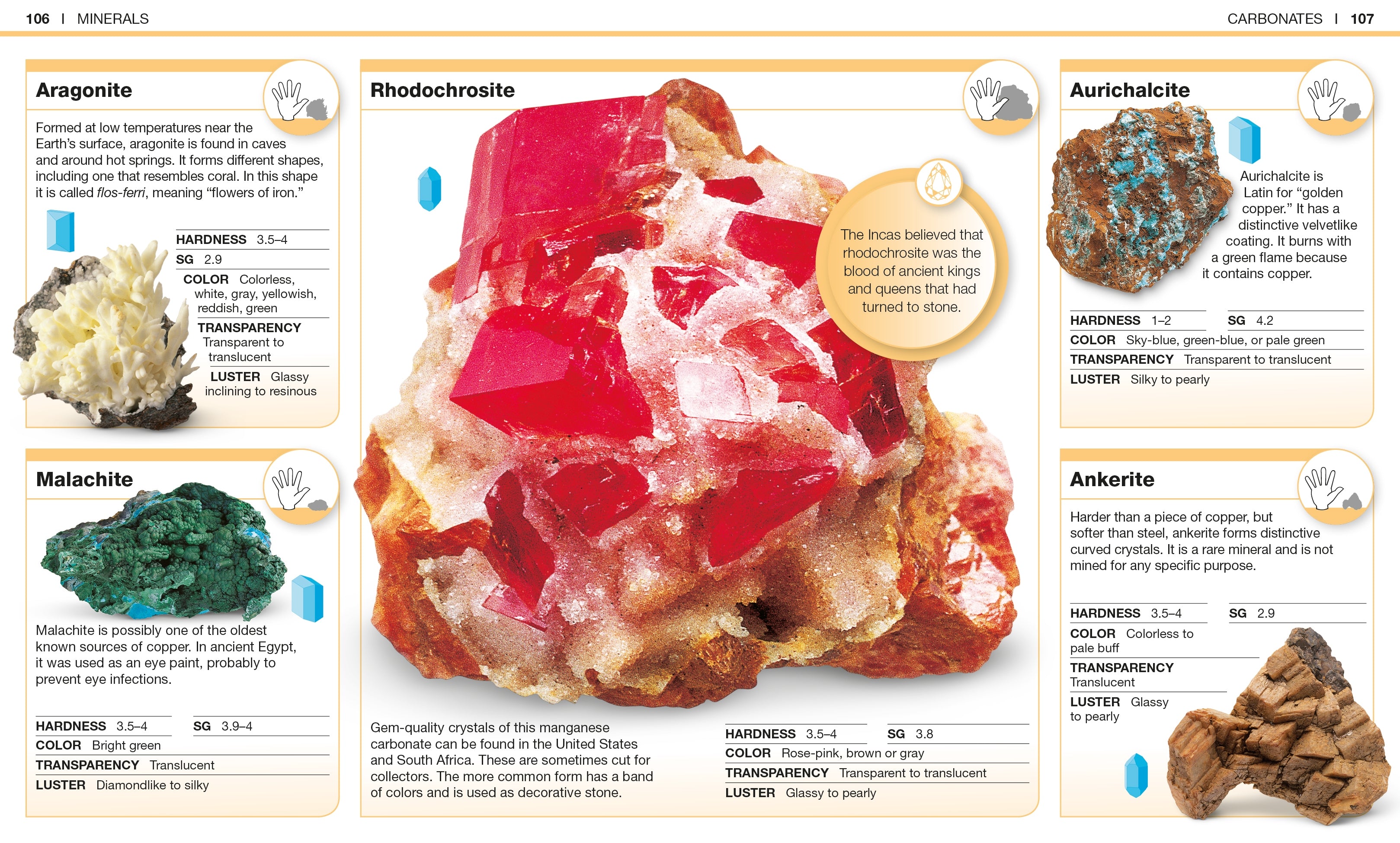Pocket Genius: Rocks and Minerals