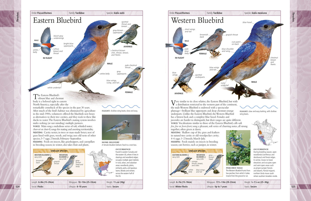 American Museum of Natural History Birds of North America
