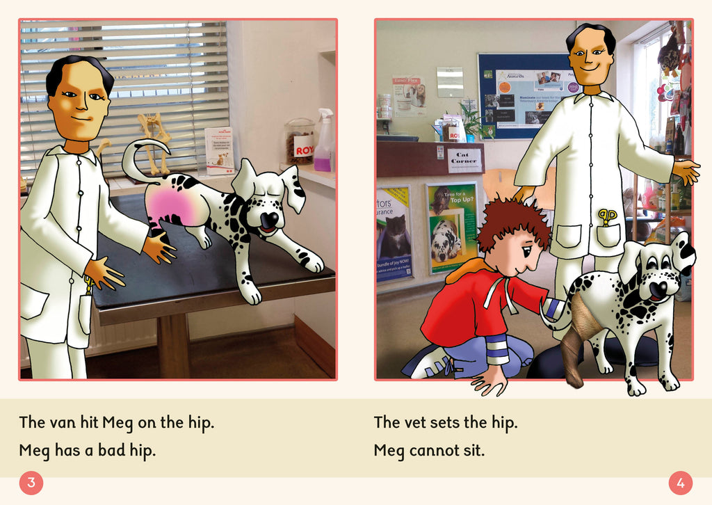 Phonic Books Dandelion Readers Set 2 Units 1-10