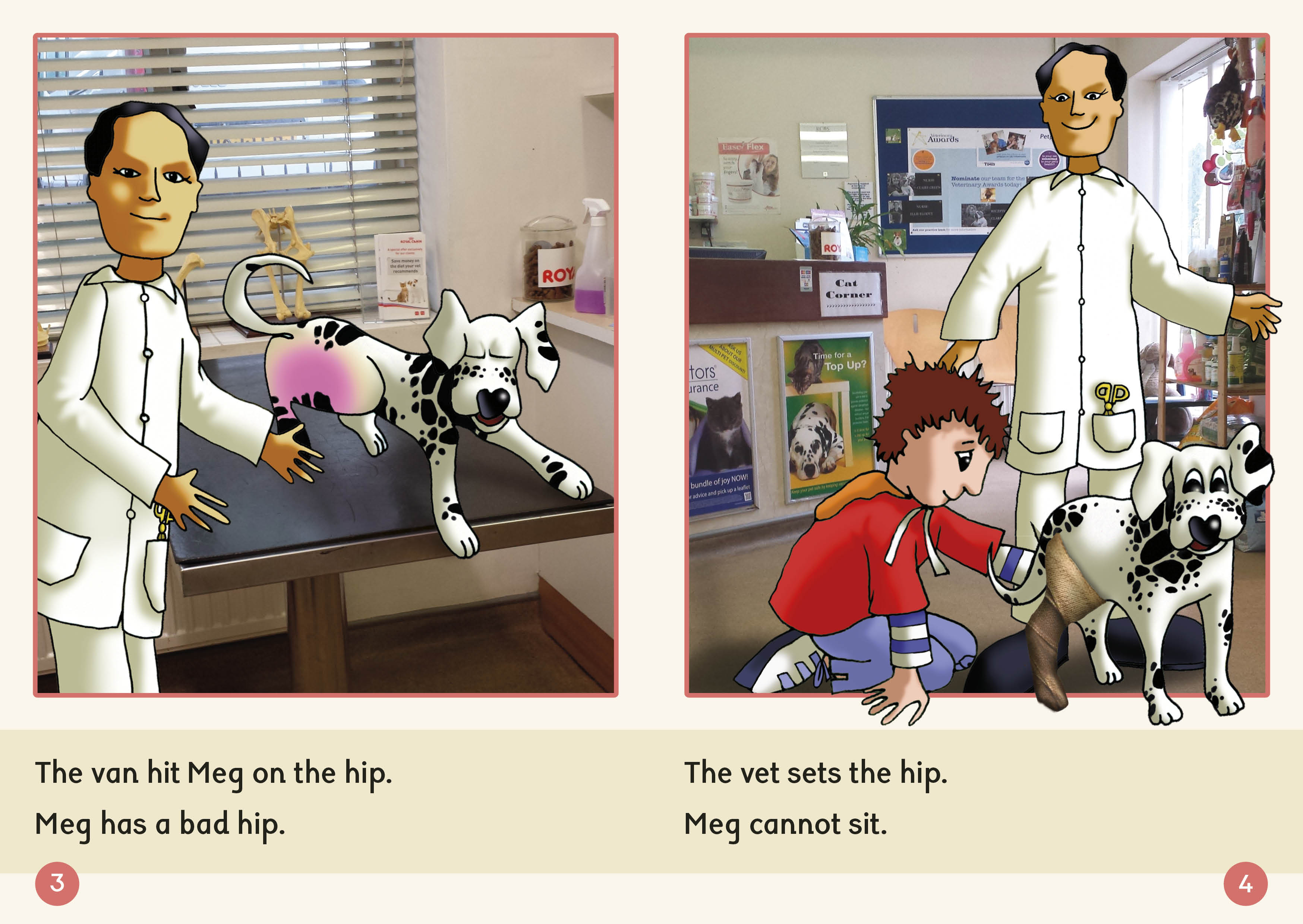 Phonic Books Dandelion Readers Set 2 Units 1-10