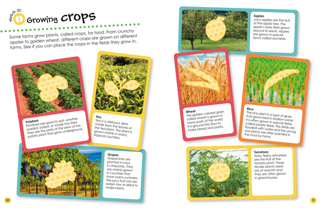 Ultimate Sticker Book: Farm