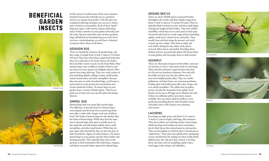 Companion Planting for Beginners-Spread, Image, (PRHC, Design, Do, Not, Use)-7