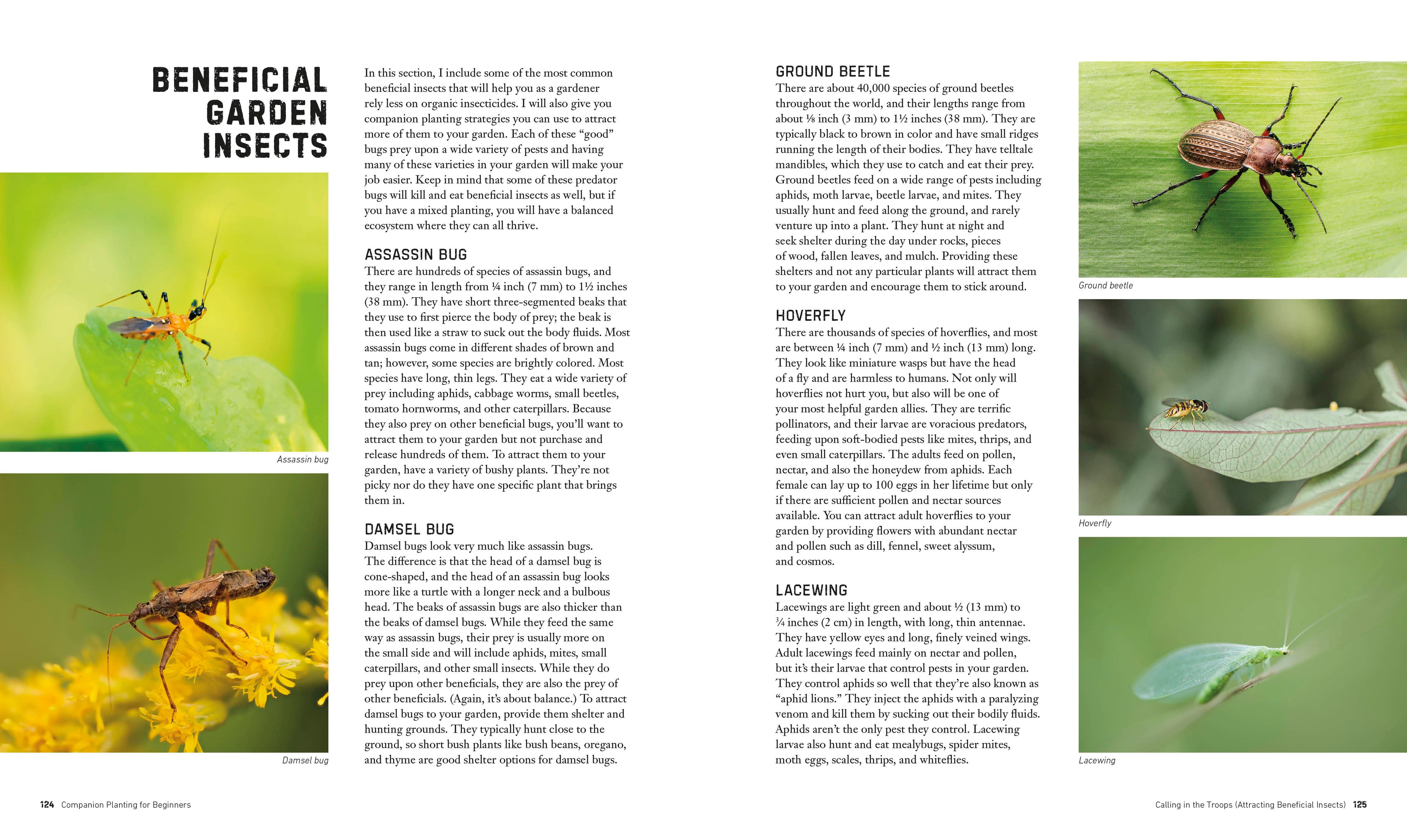 Companion Planting for Beginners-Spread, Image, (PRHC, Design, Do, Not, Use)-7