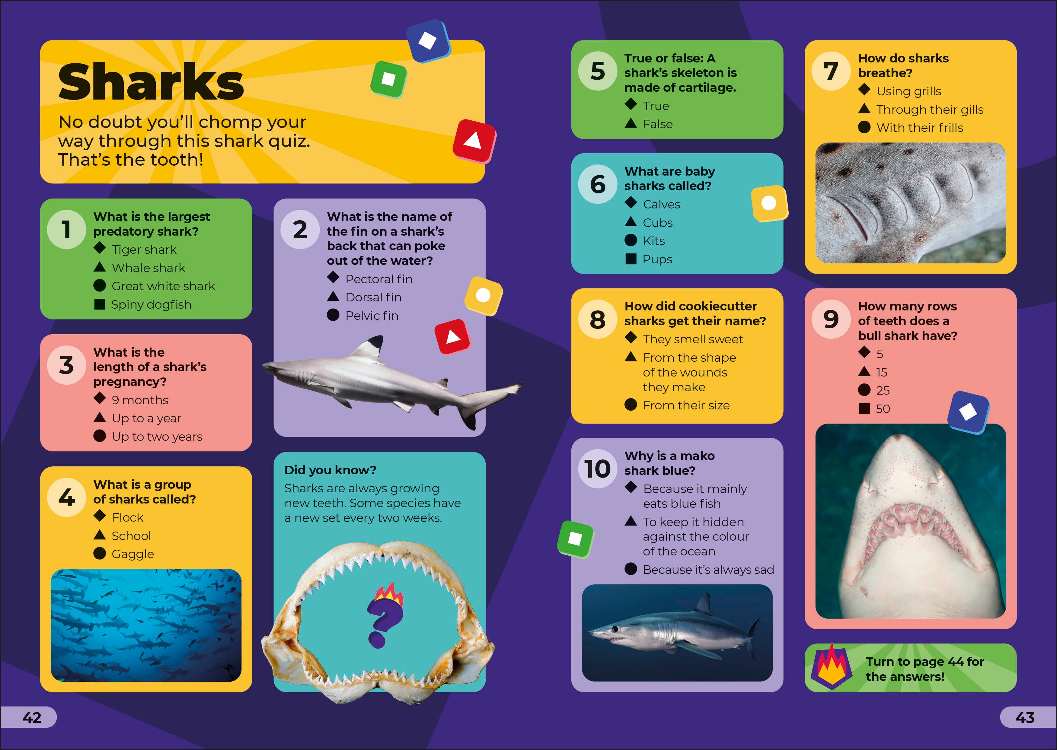 Kahoot! Quiz Time Animals