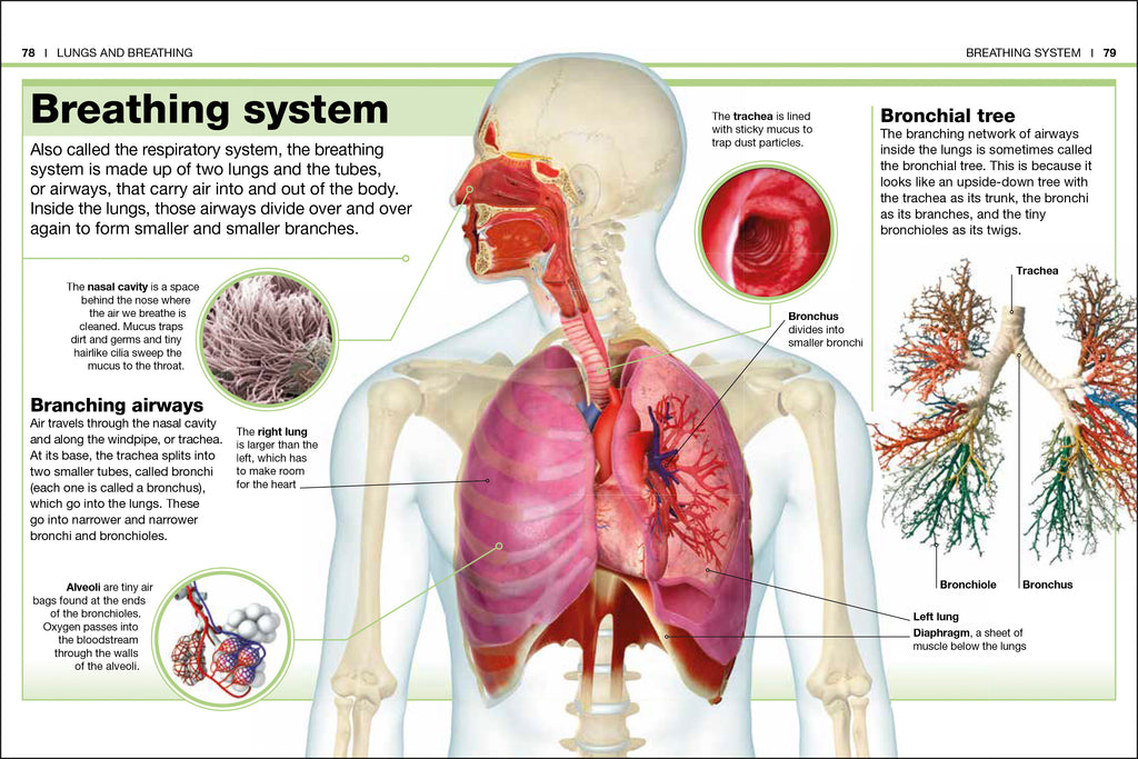 Pocket Genius Science 4-Book Collection