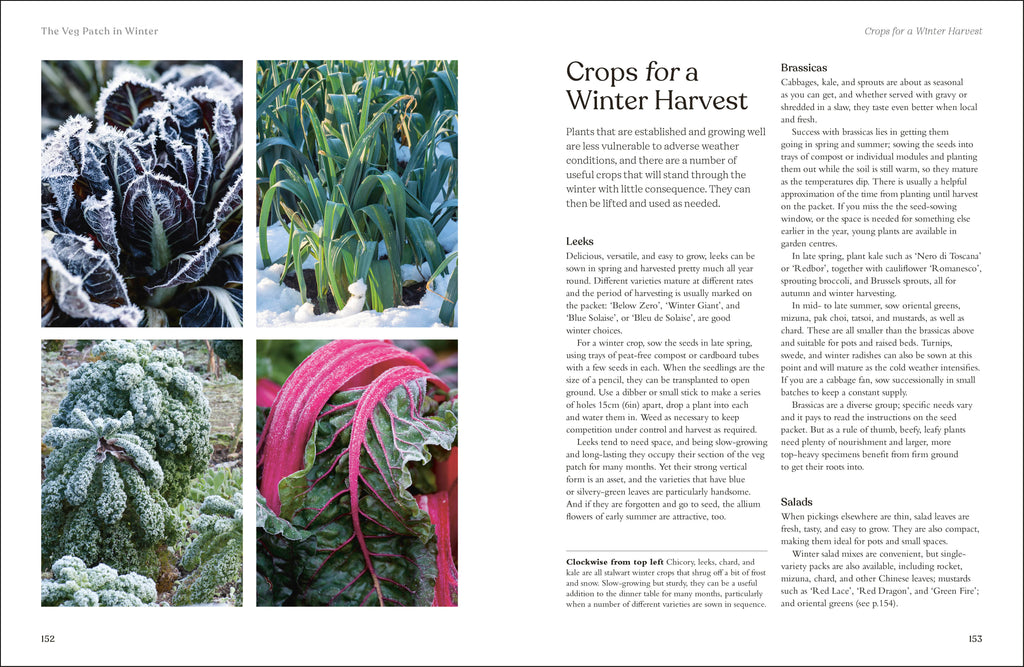 RHS The Winter Garden