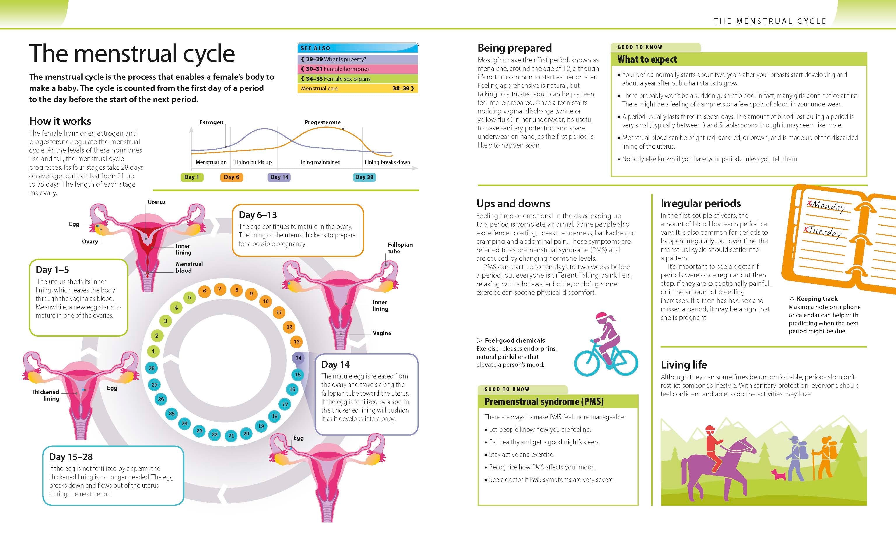 Help Your Kids with Adolescence