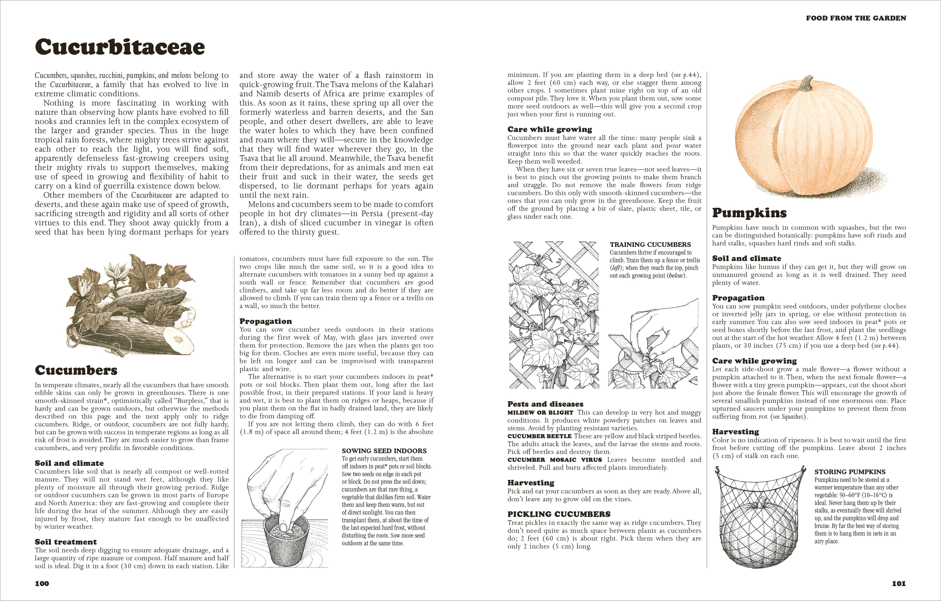 The Self-Sufficient Life and How to Live It-image
