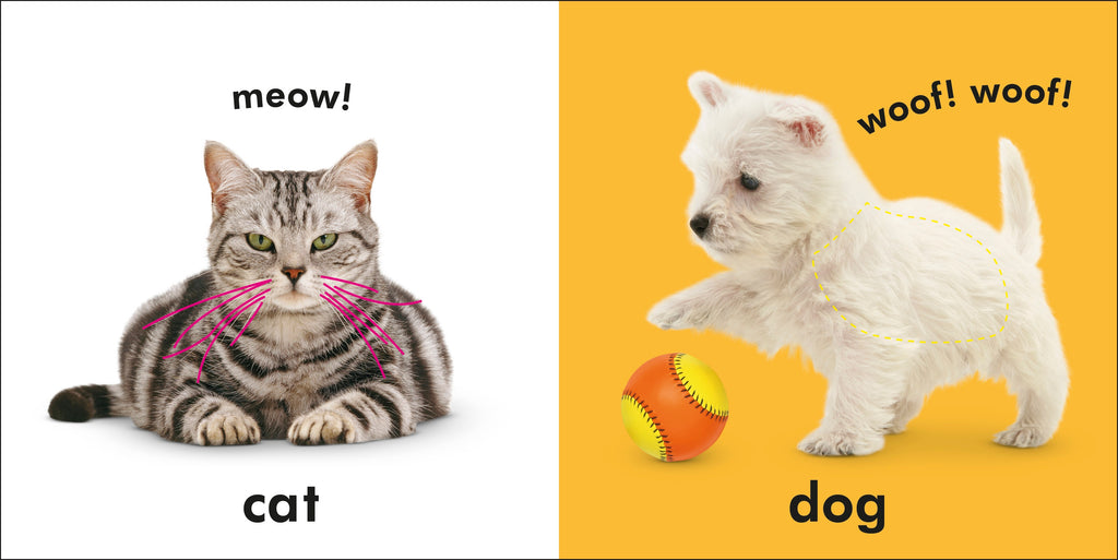 Baby Touch and Feel: First Words