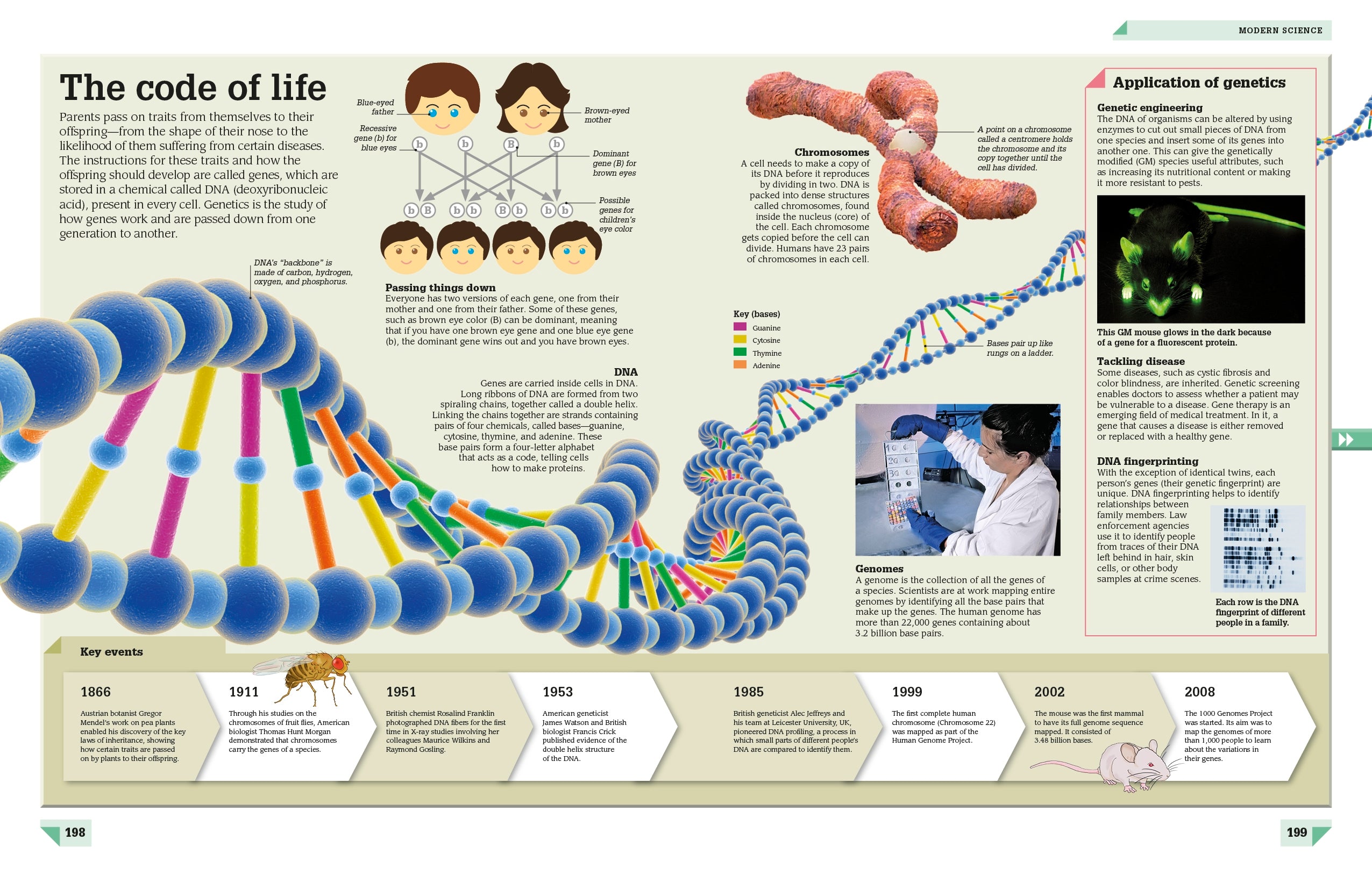 Science Year by Year