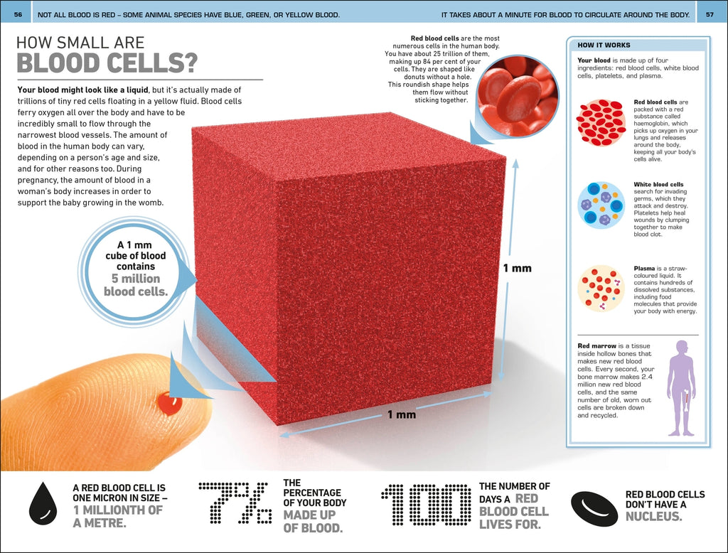 1,000 Amazing Human Body Facts