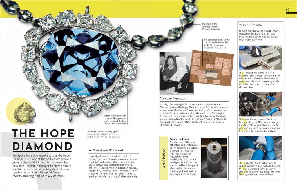 Behind the Scenes at the Museum