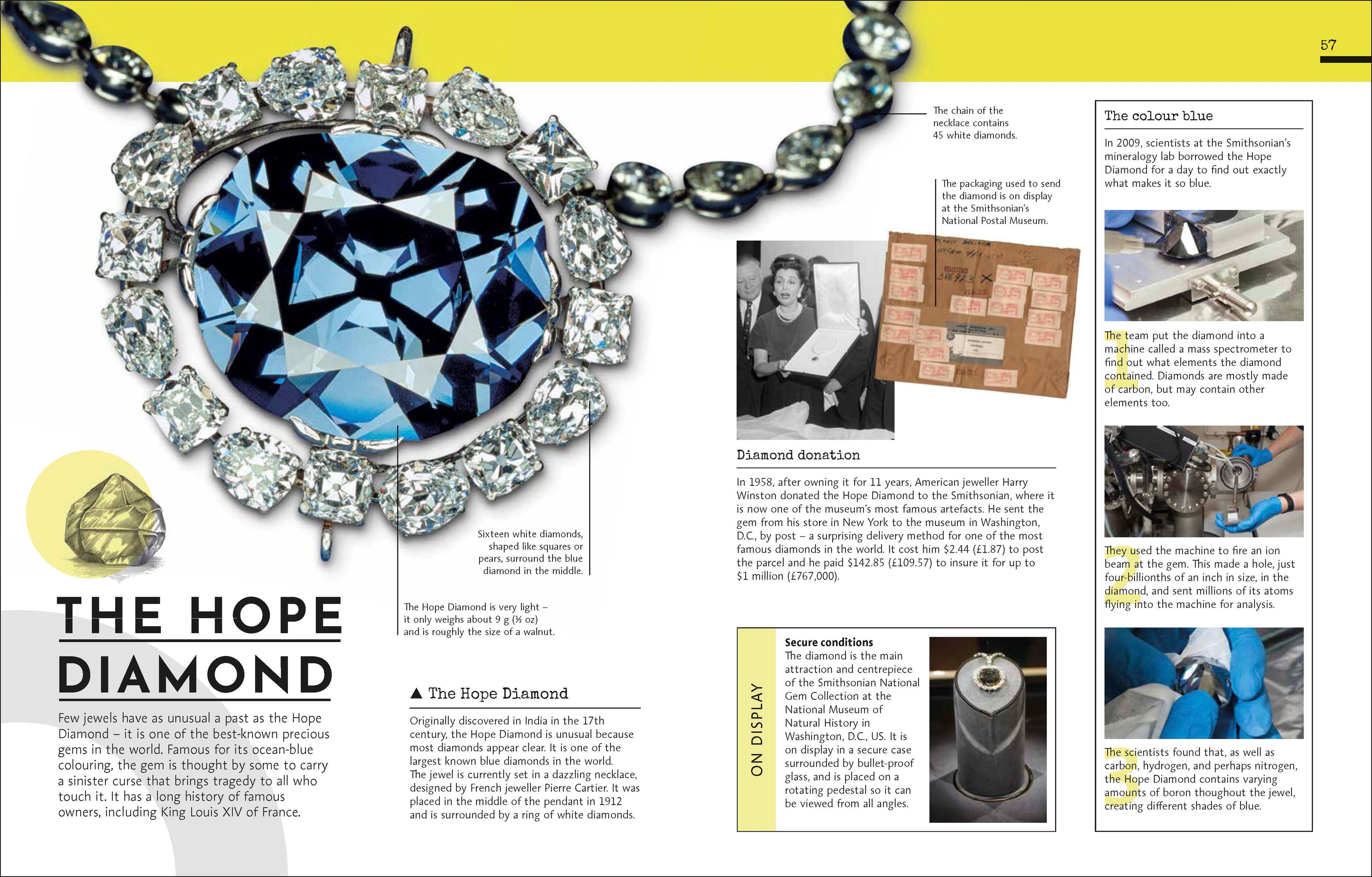 Behind the Scenes at the Museum