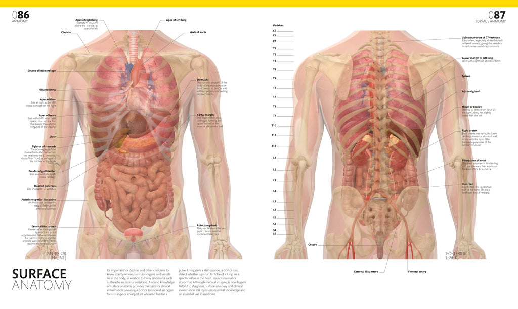 The Complete Human Body