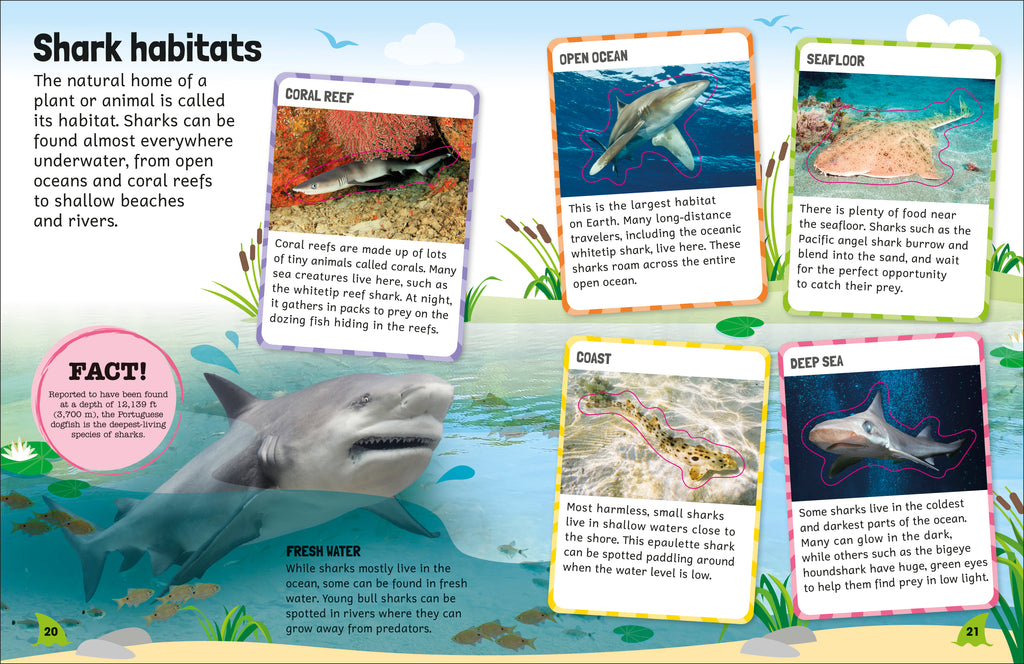 Sticker Encyclopedia Sharks-Spread, Image, (PRHC, Design, Do, Not, Use)-5