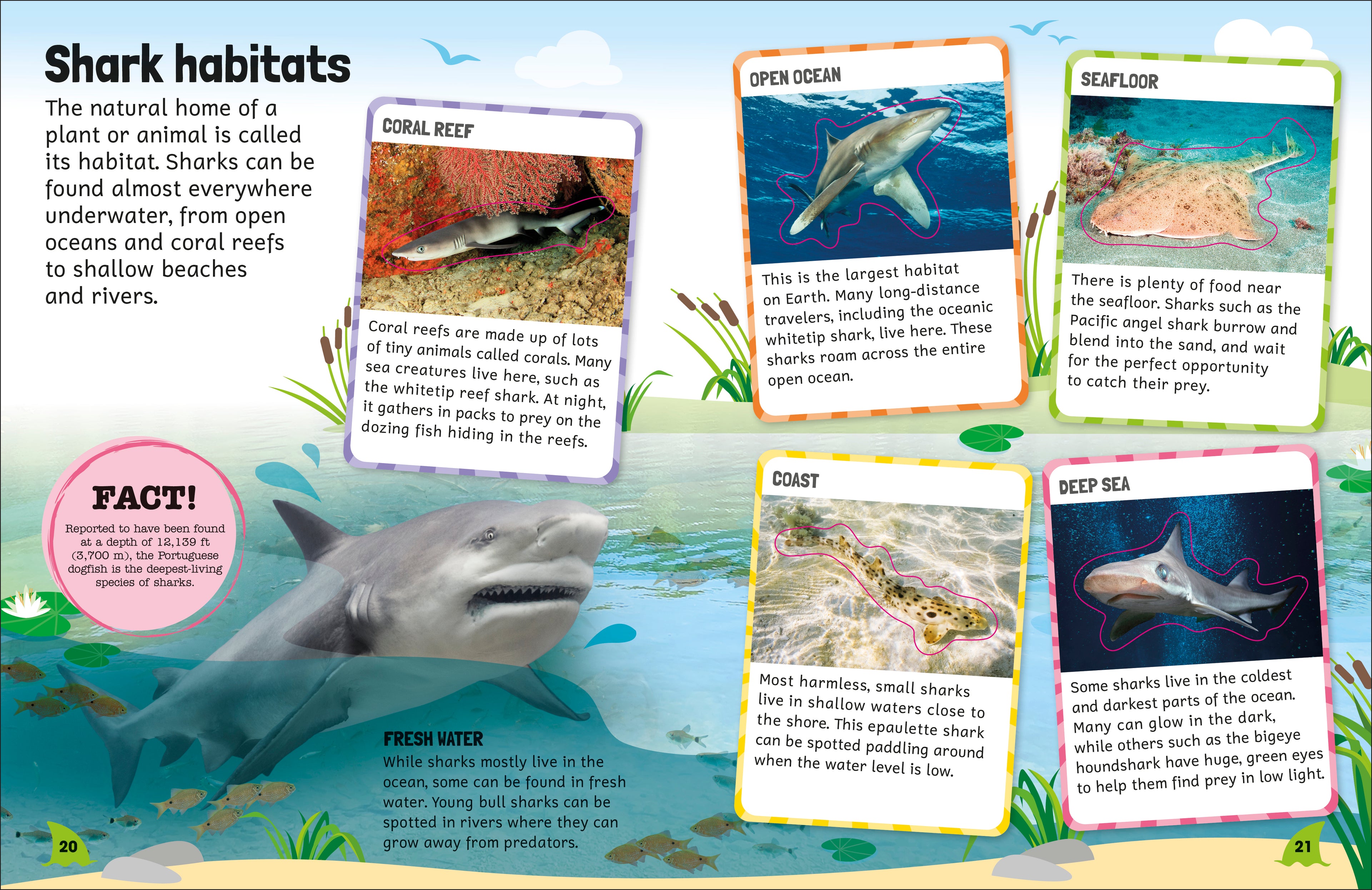 Sticker Encyclopedia Sharks-Spread, Image, (PRHC, Design, Do, Not, Use)-5