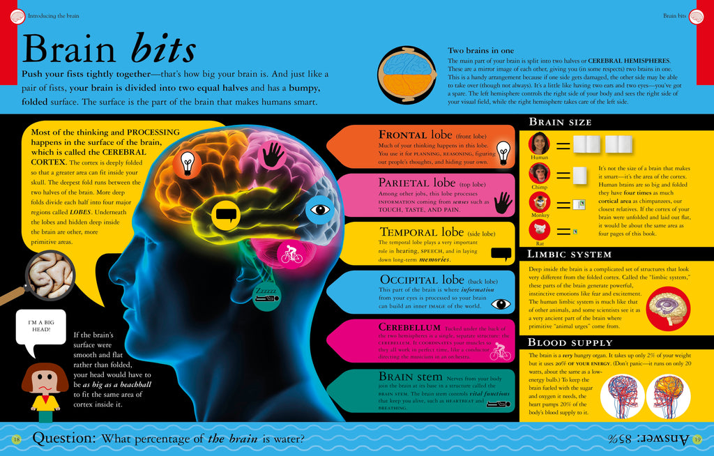 What Goes On in My Head?