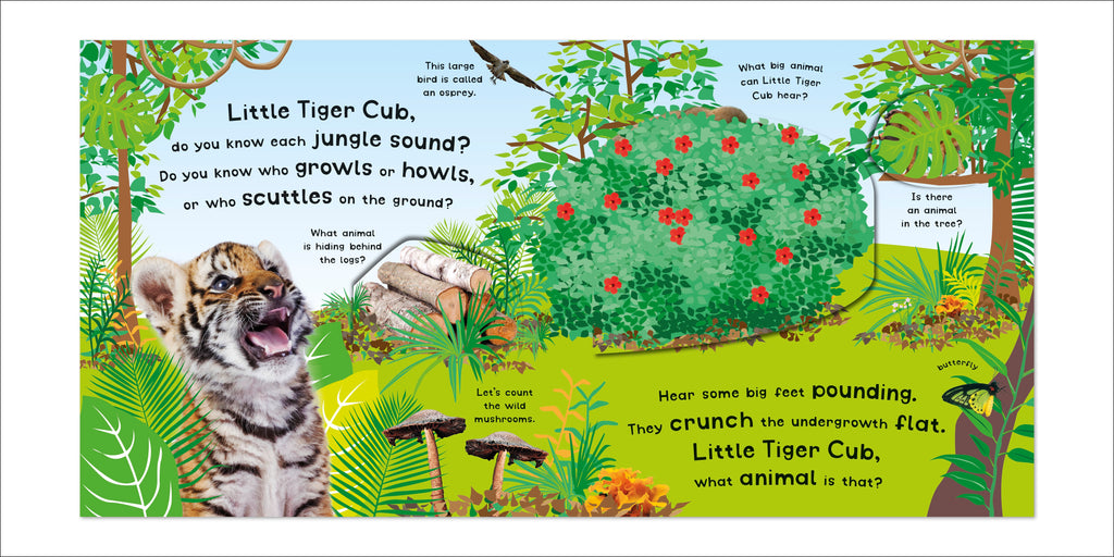 Growl! Howl! Animals