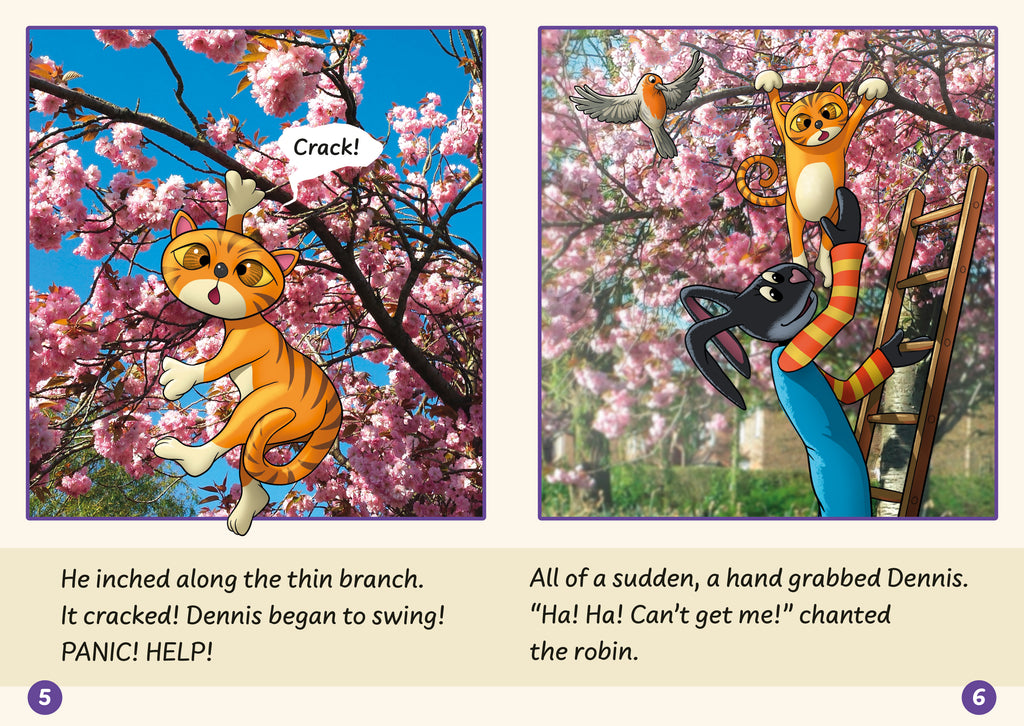 Phonic Books Dandelion Launchers Units 16-20-spread image