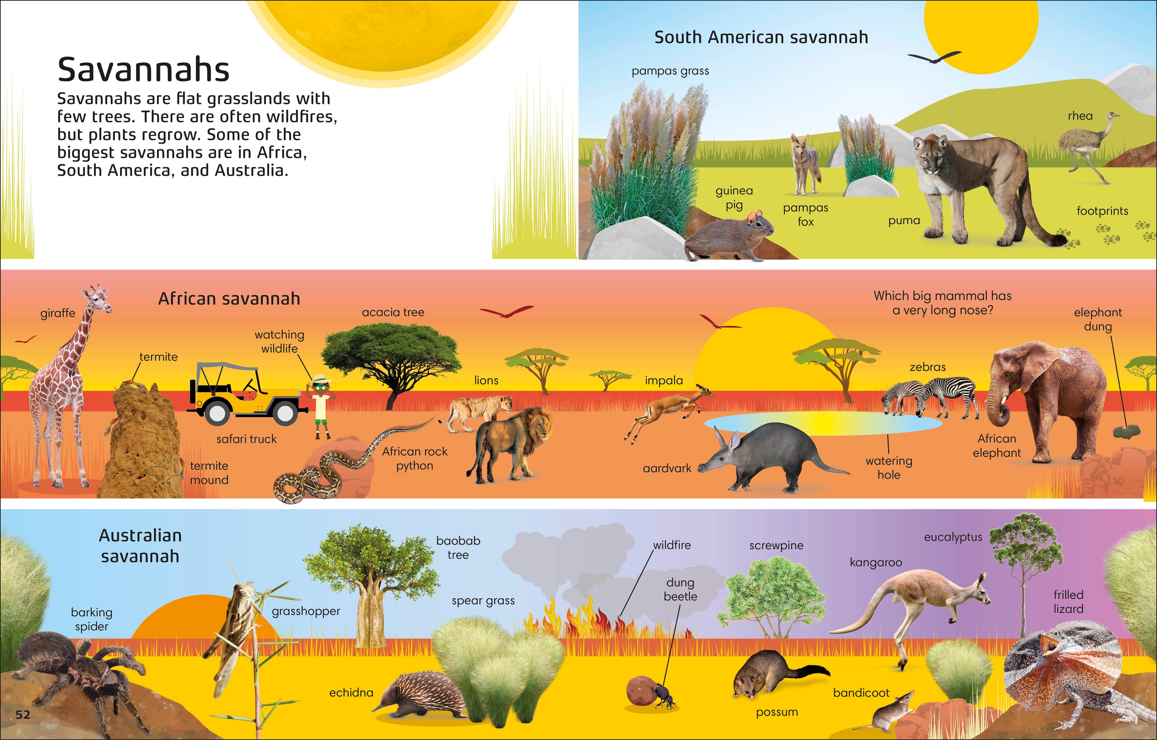 1000 Words: Nature-Spread, Image, (PRHC, Design, Do, Not, Use)-3