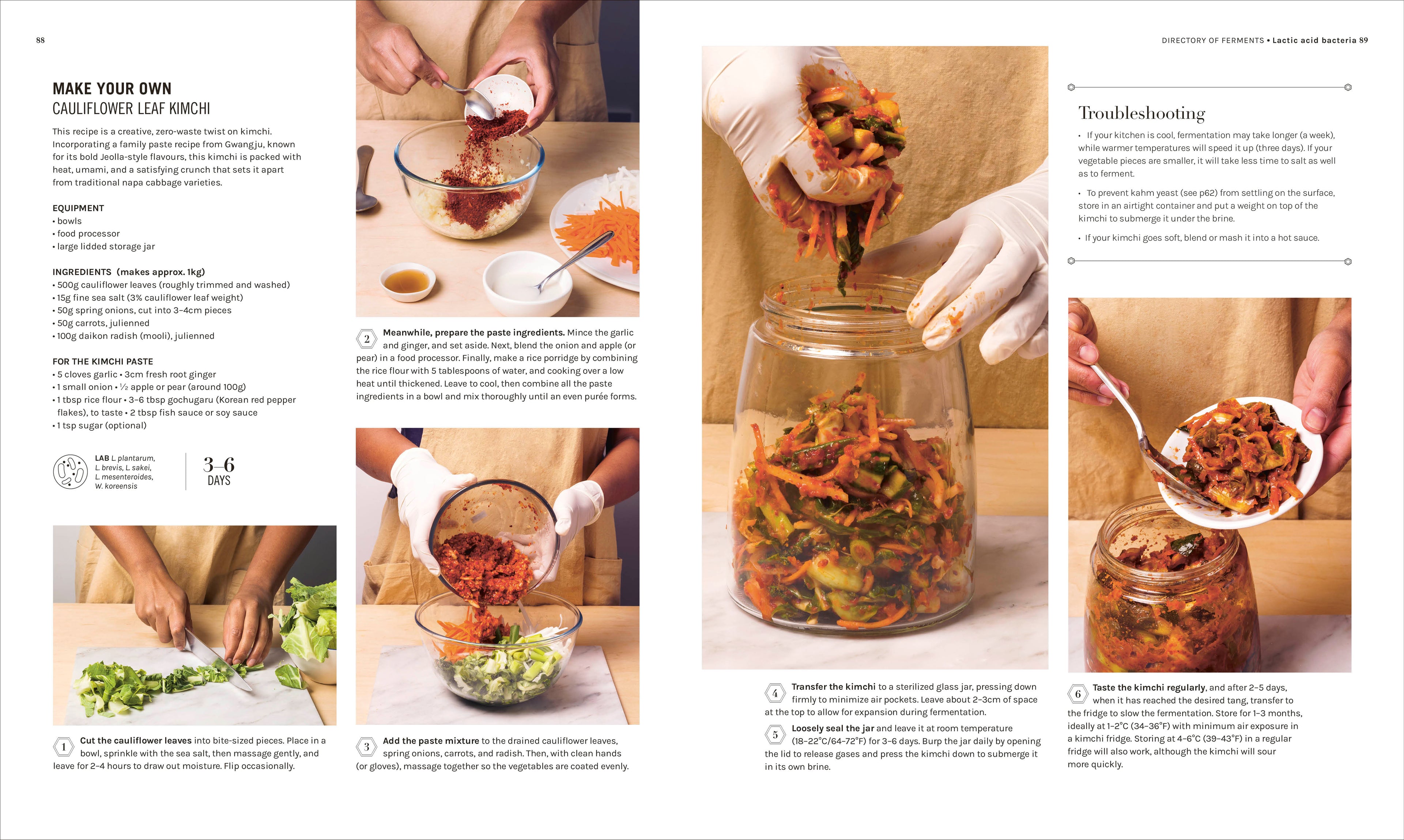 The Science of Fermentation