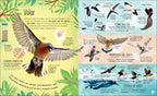 La vida secreta de las aves (The Extraordinary World of Birds)-Spread, Image, (PRHC, Design, Do, Not, Use)-1