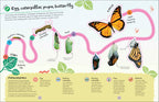 Ultimate Sticker Book Garden Bugs-Spread, Image, (PRHC, Design, Do, Not, Use)-5