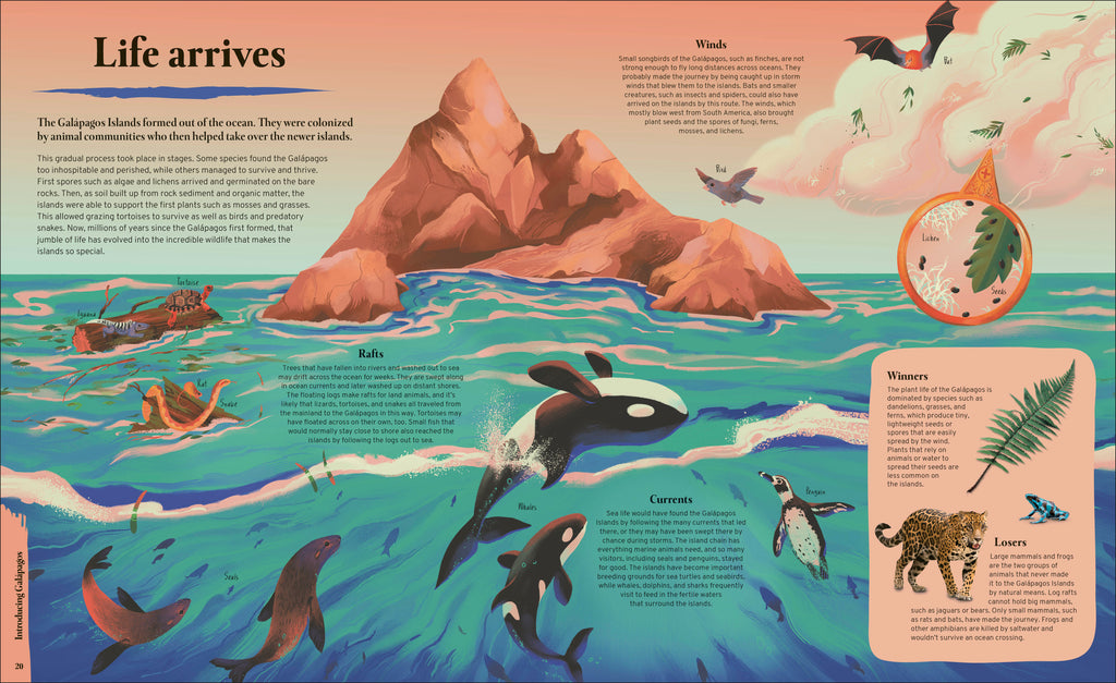 Galapagos-Spread, Image, (PRHC, Design, Do, Not, Use)-2