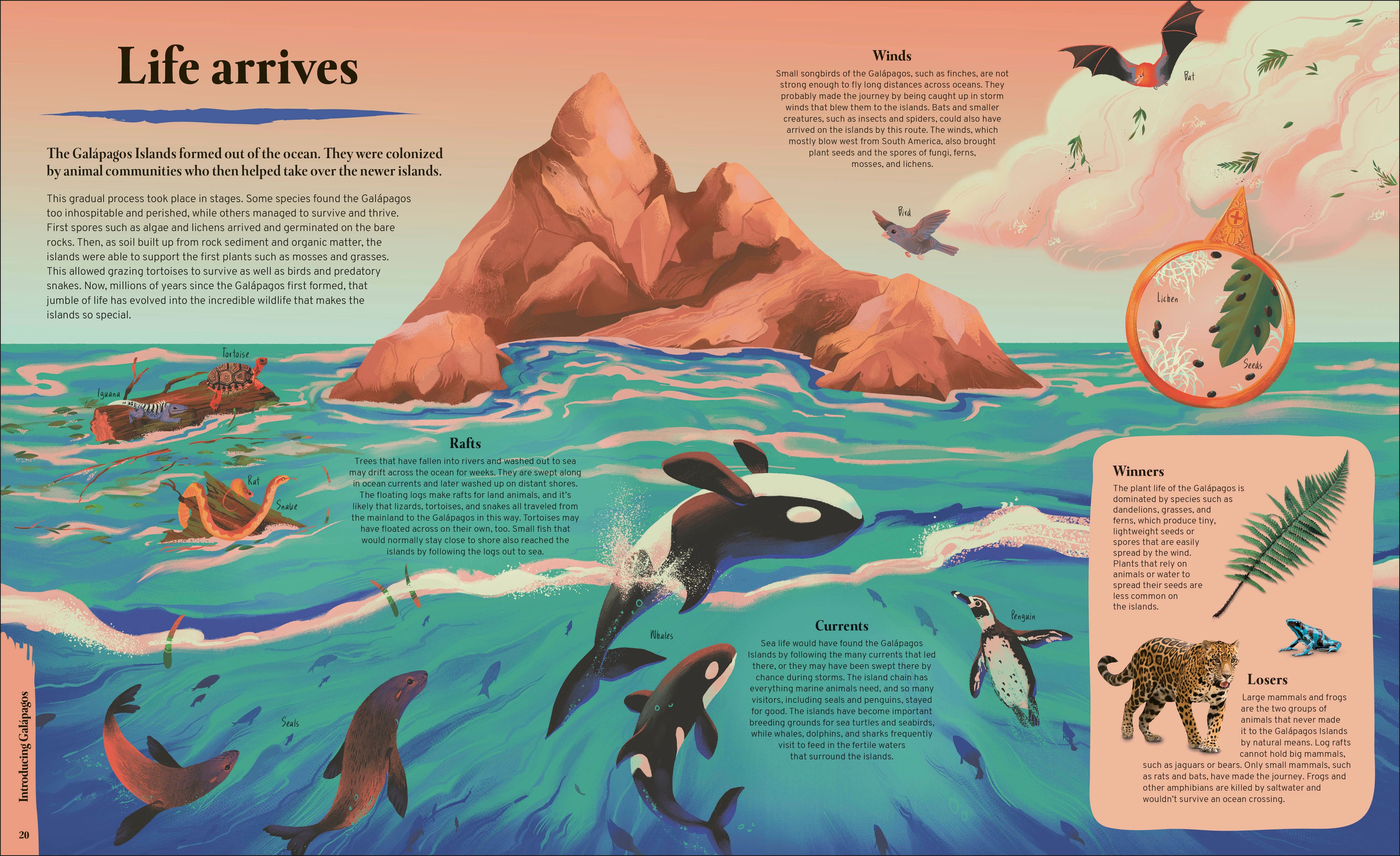 Galapagos-Spread, Image, (PRHC, Design, Do, Not, Use)-2