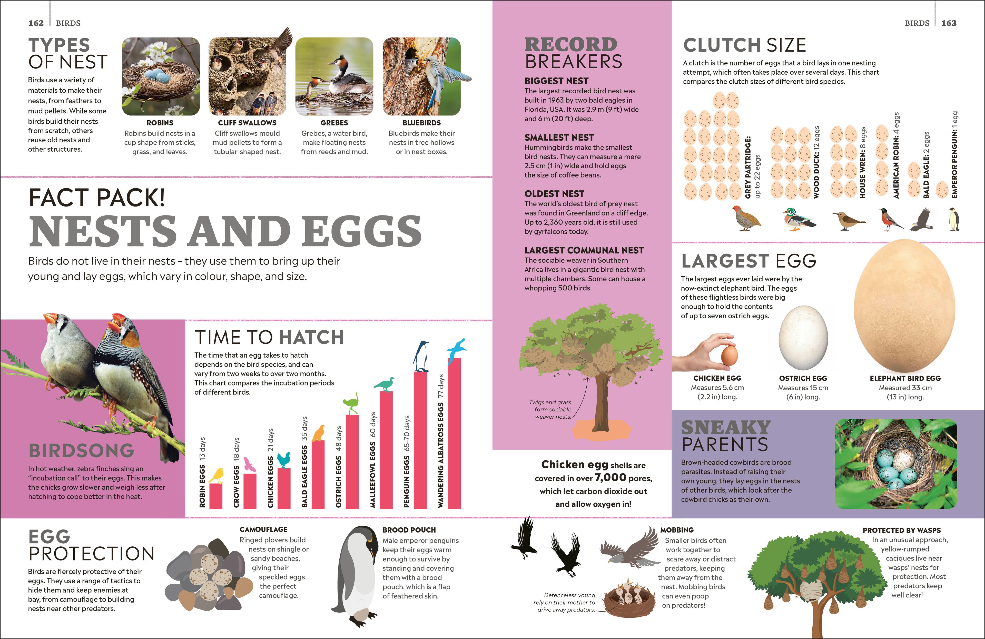 Eyewitness Encyclopedia of Animals