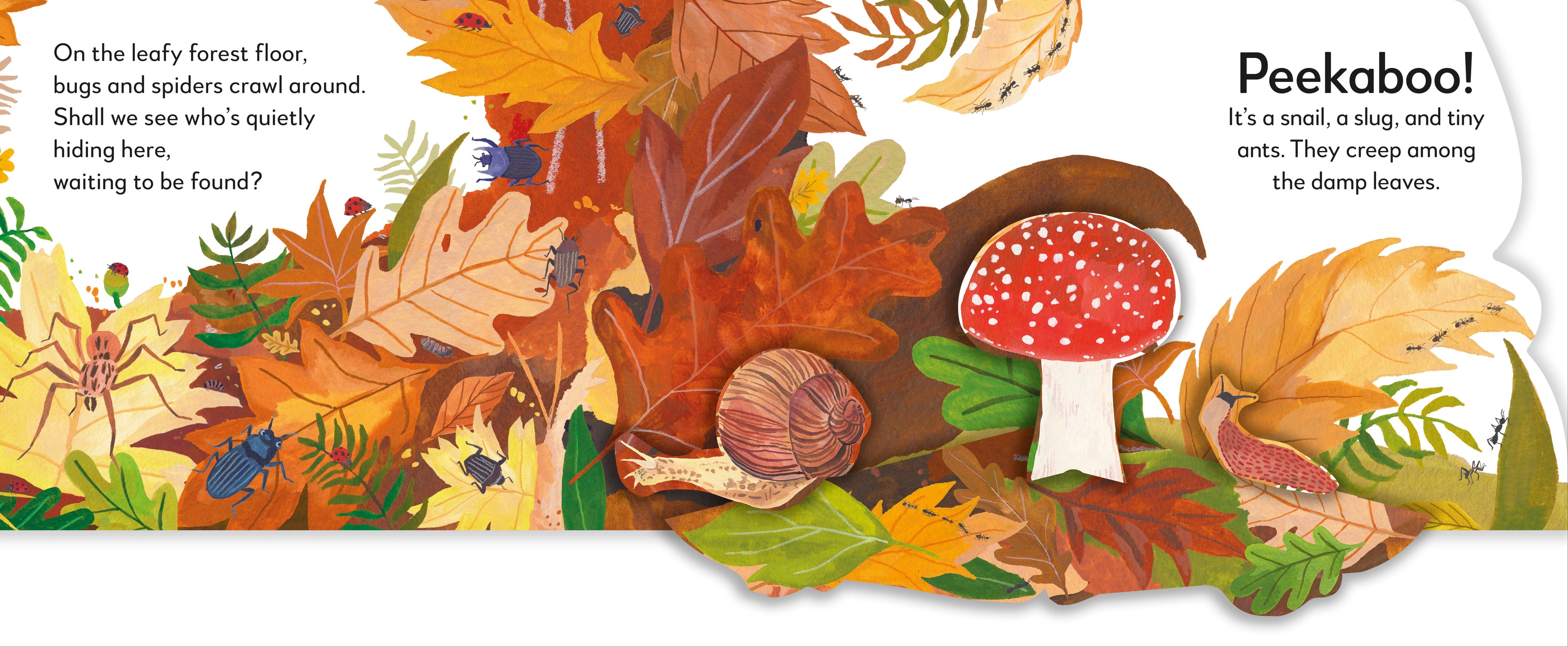 Pop-Up Peekaboo! Forest-Spread, Image, (PRHC, Design, Do, Not, Use)-4