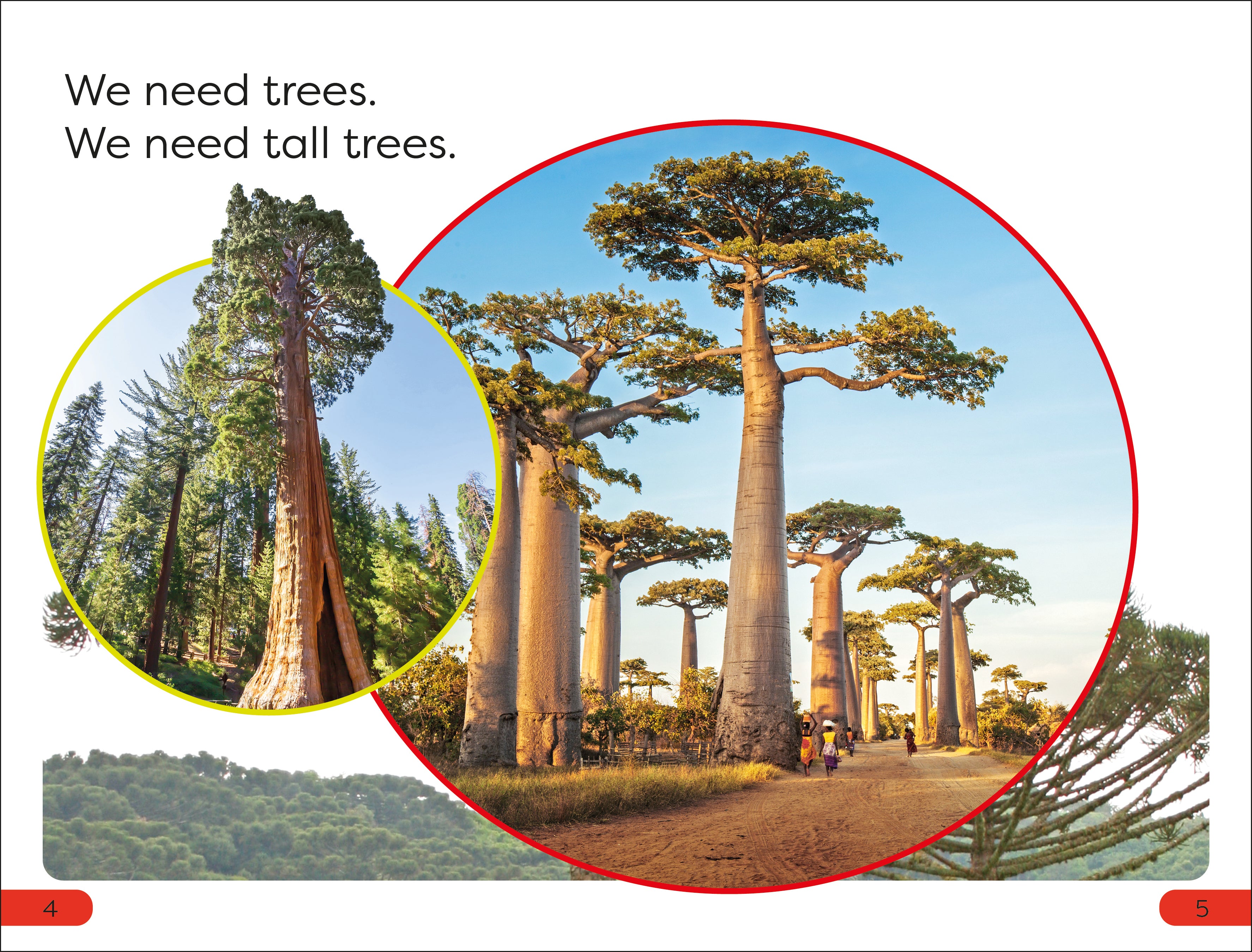 DK Super Readers Pre-Level Save the Trees