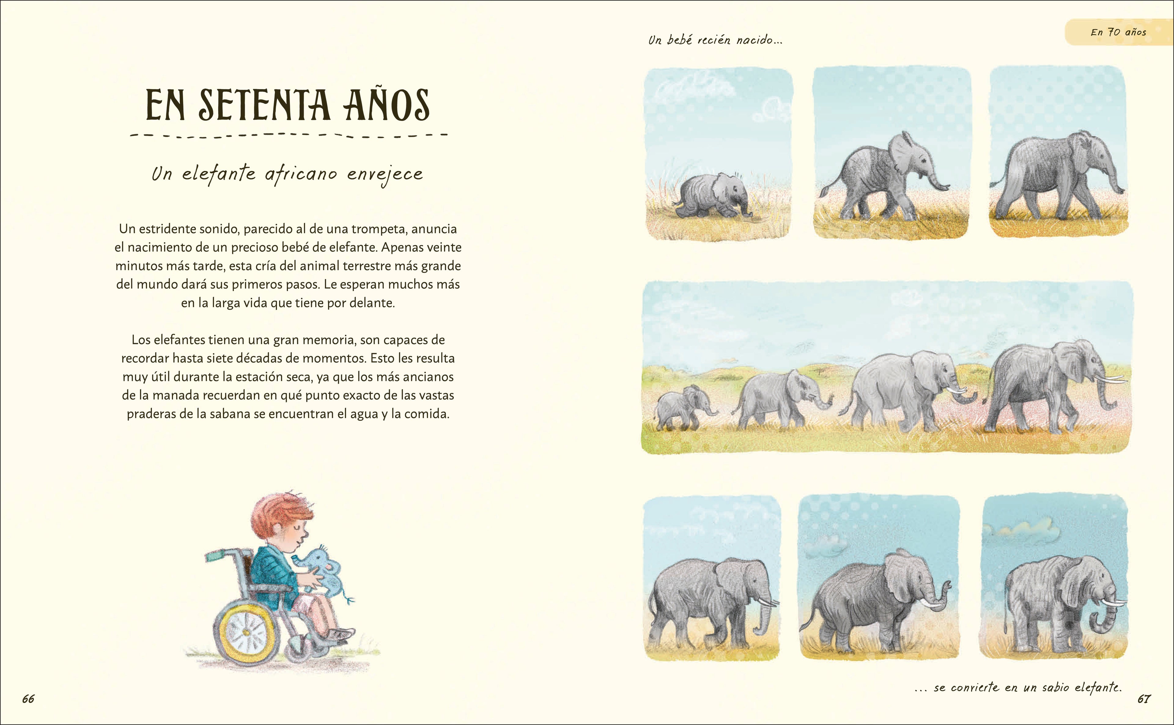 Paciencia-Spread, Image, (PRHC, Design, Do, Not, Use)-3
