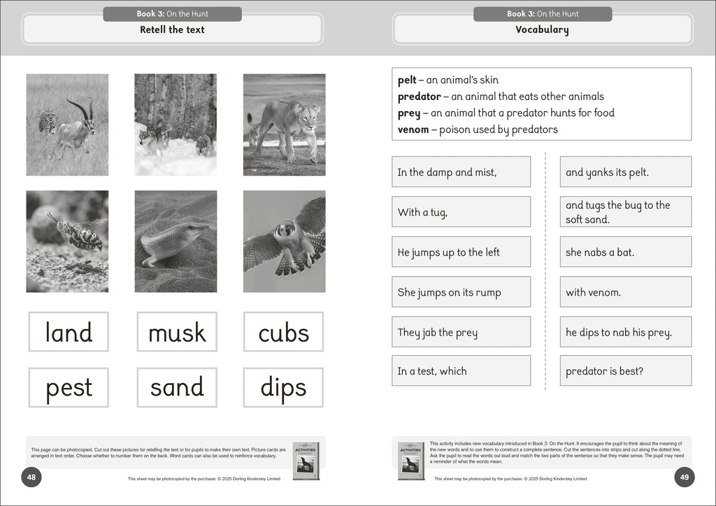 Phonic Books The Fact Files 1 Activities