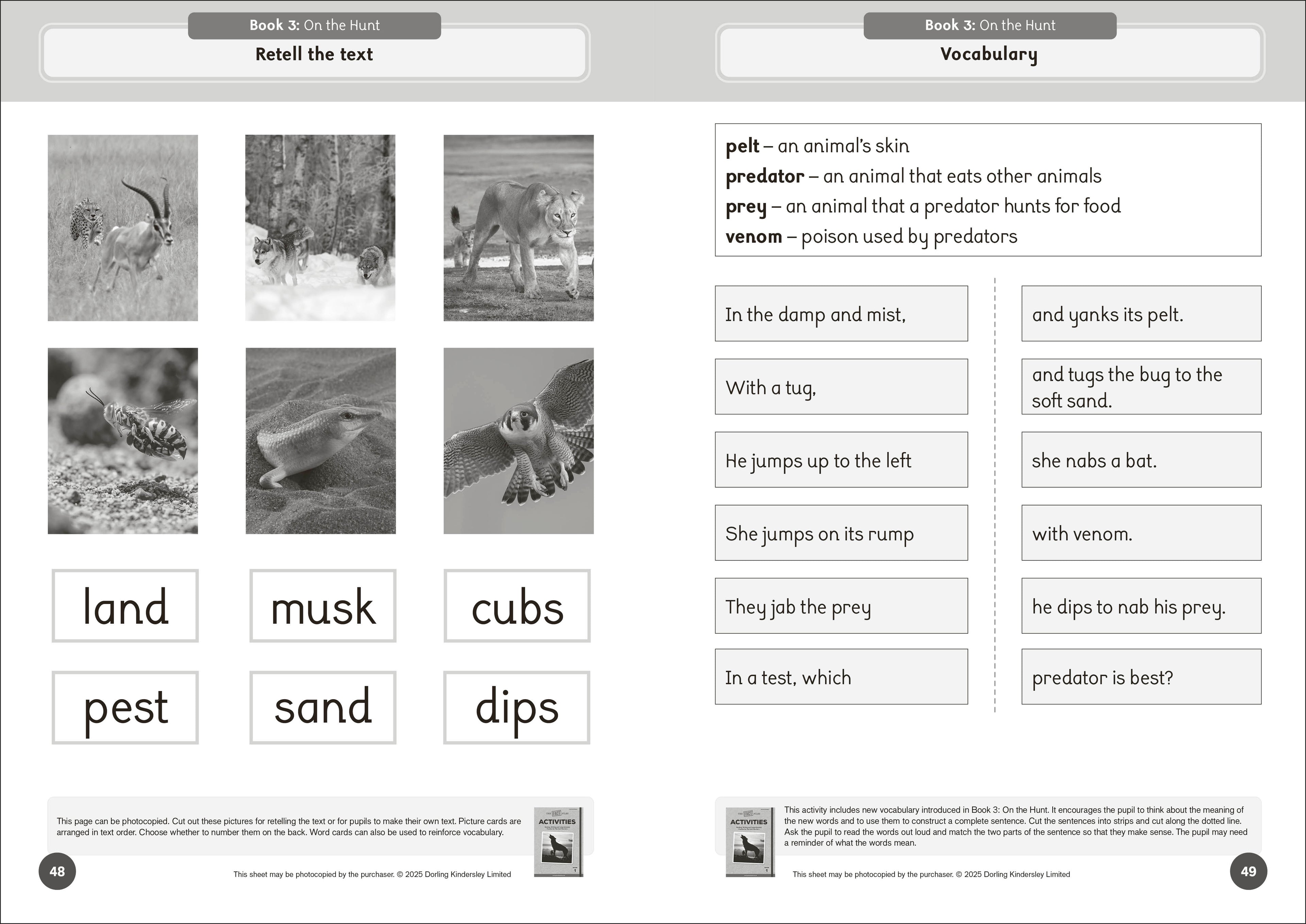 Phonic Books The Fact Files 1 Activities