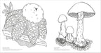 Fascinating Fungi Colouring Book-Spread, Image, (PRHC, Design, Do, Not, Use)-2