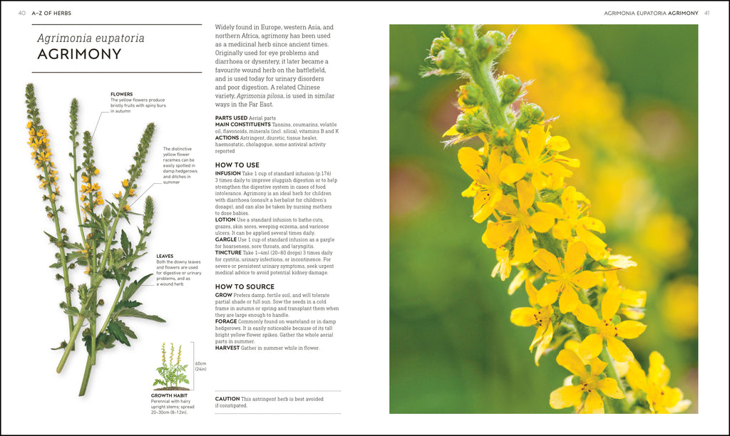 Neal's Yard Remedies Healing Herbs