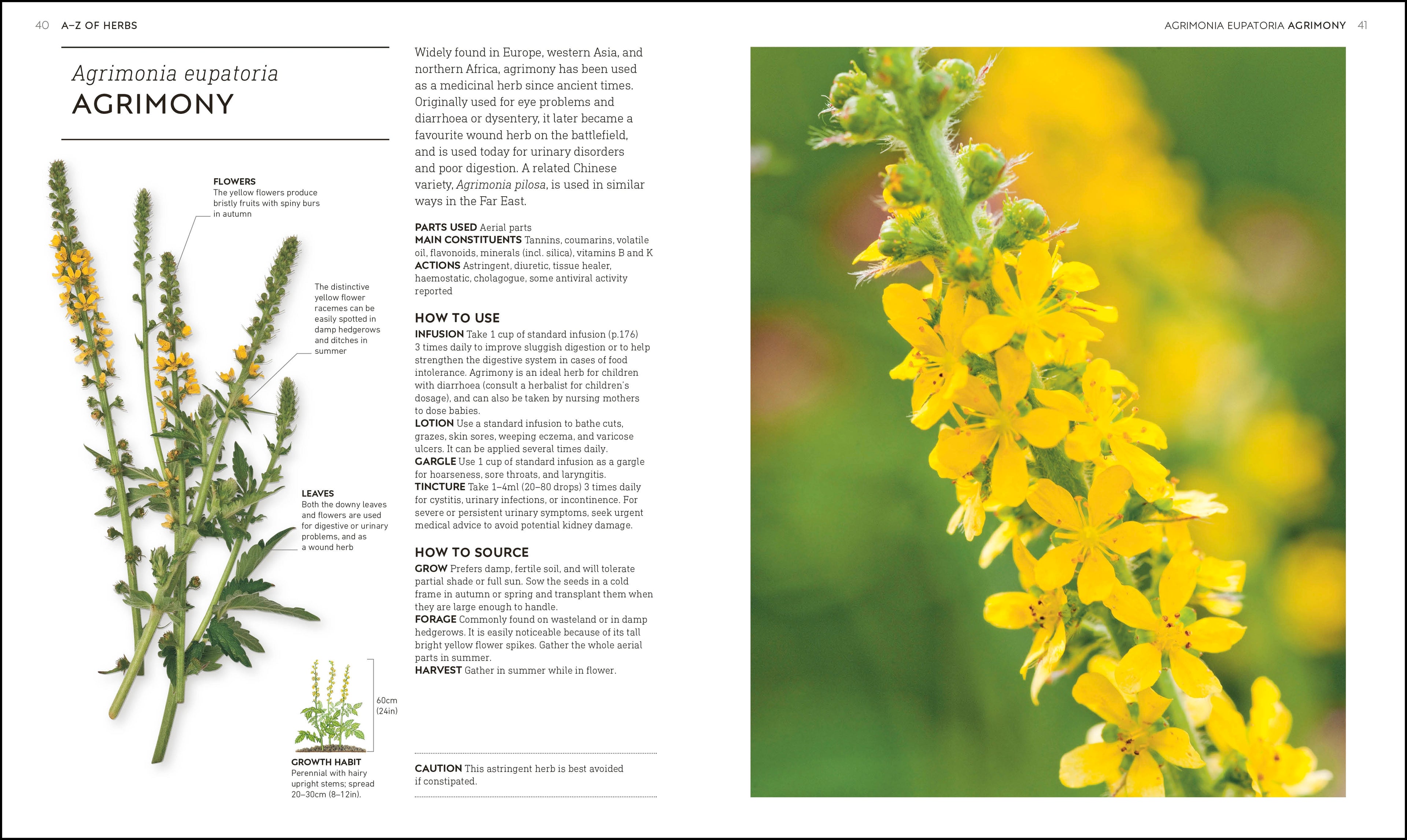 Neal's Yard Remedies Healing Herbs