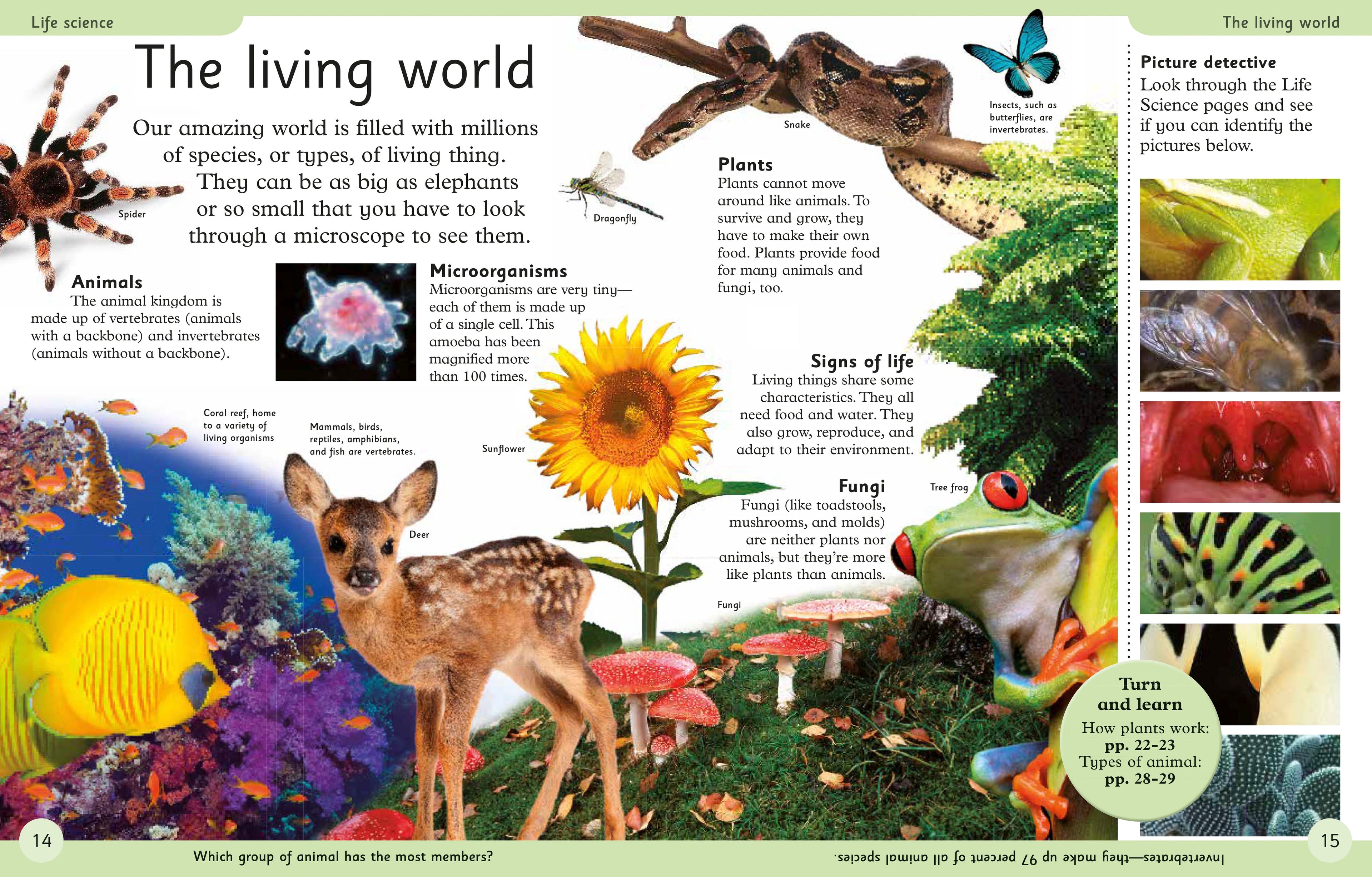 First Science Encyclopedia