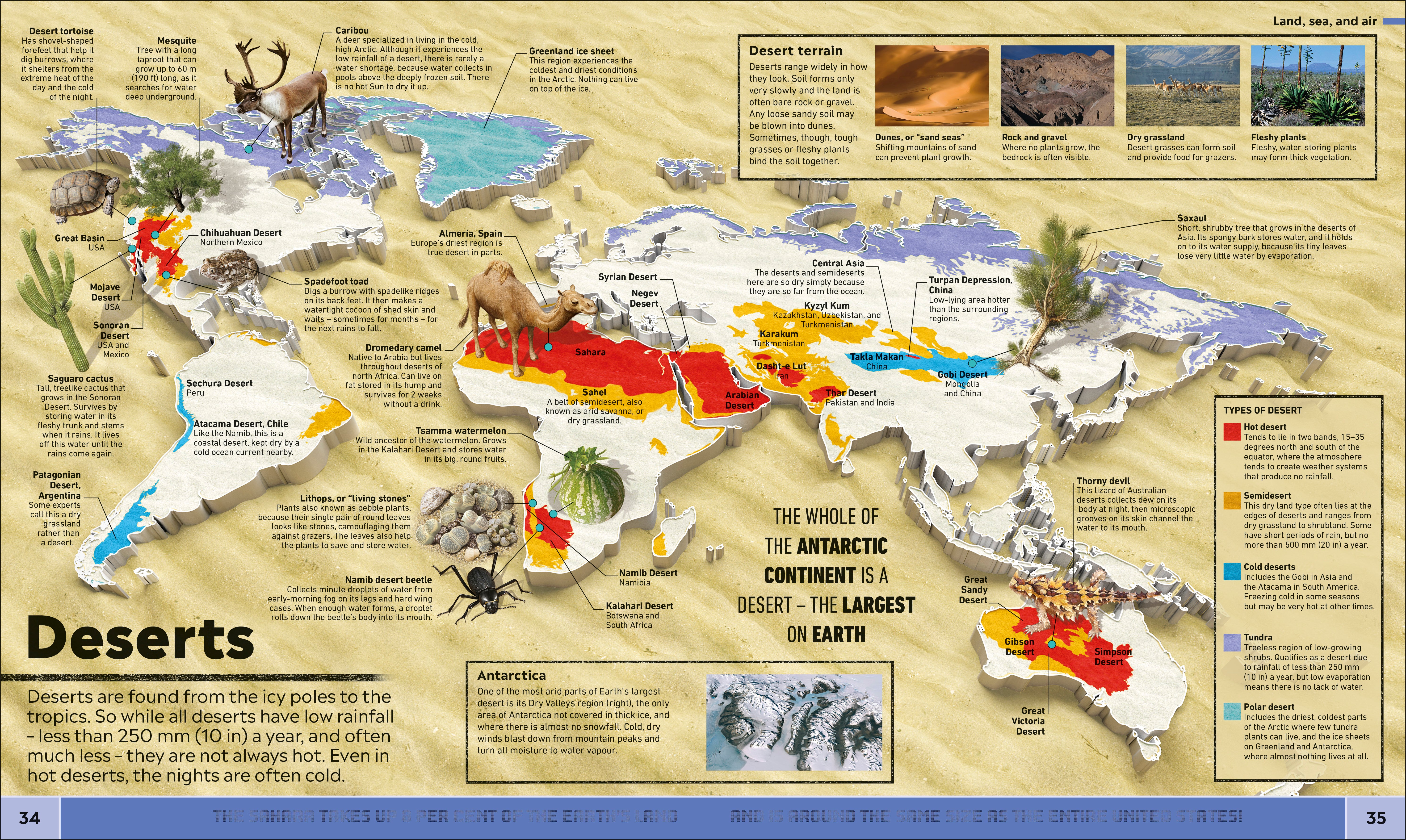 What's Where on Earth? – DK