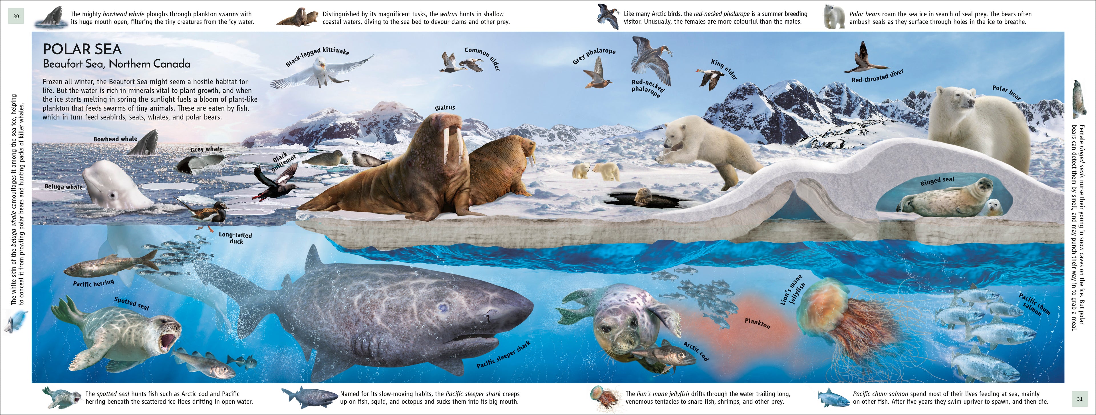 Habitats of the World