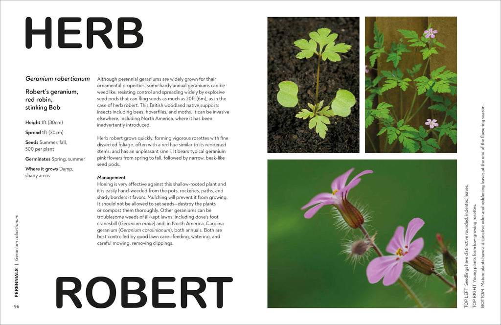 What's That Weed?-Spread, Image, (PRHC, Design, Do, Not, Use)-6