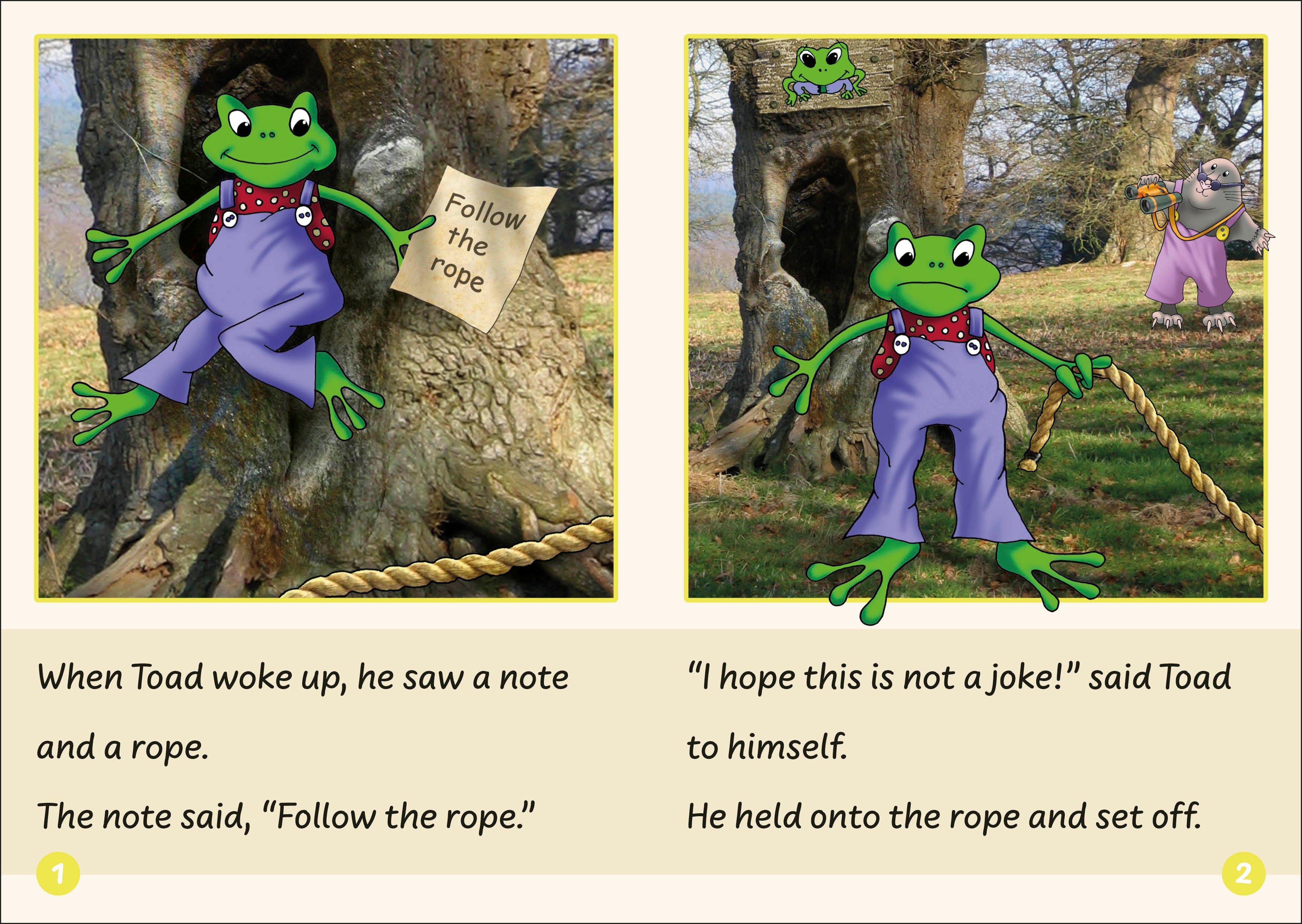 Phonic Books Dandelion Readers VCe Spellings