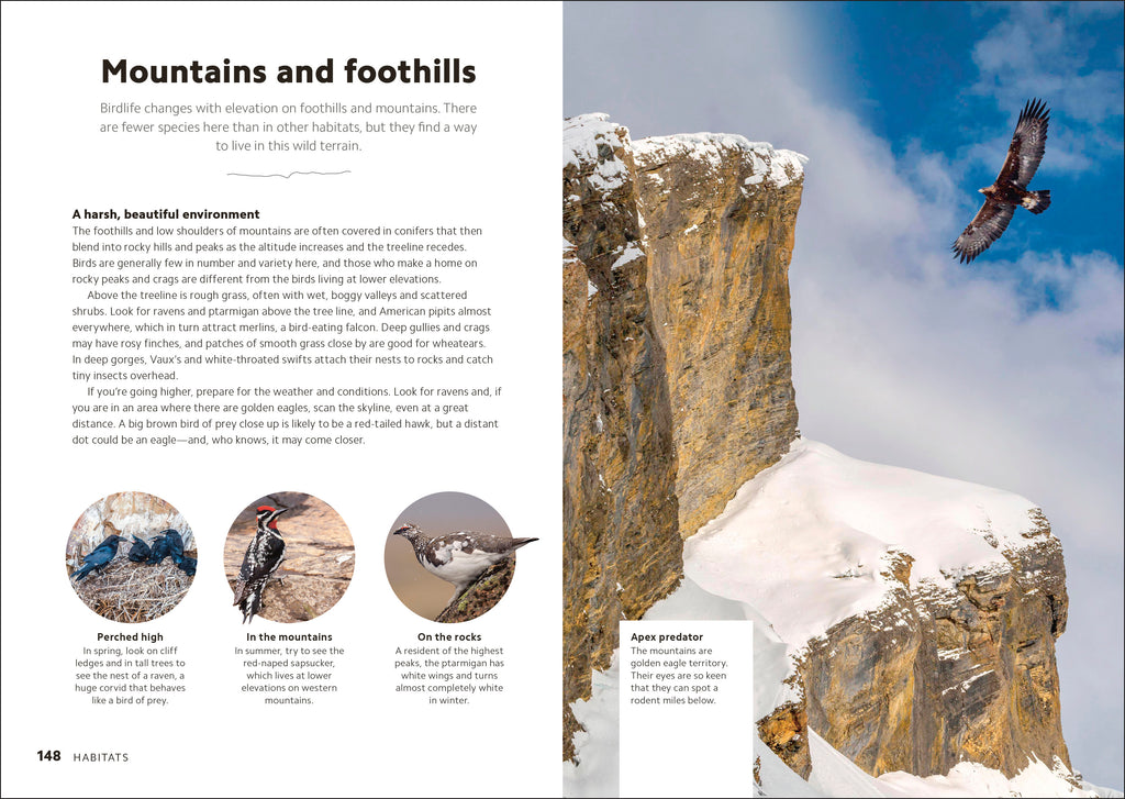 Birdwatching Guide-Spread, Image, (PRHC, Design, Do, Not, Use)-4