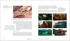 BBC Walking With Dinosaurs-Spread, Image, (PRHC, Design, Do, Not, Use)-9